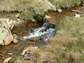 babblingbrook.jpg babblingbrook.jpg